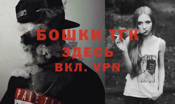 твердый Арсеньев