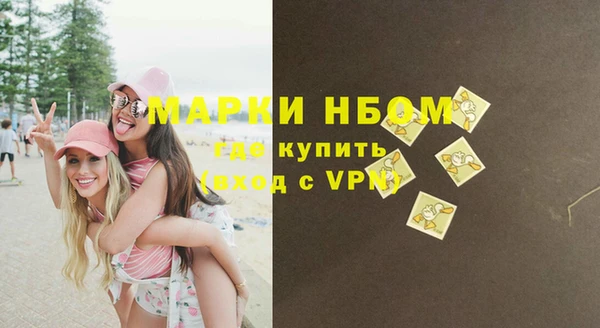 твердый Арсеньев